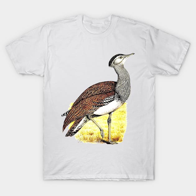 Kori Bustard by C. G. Finch-Davies T-Shirt by Amanda1775